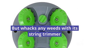 A Better Way to Weed with Tertill The Garden Weeding Robot