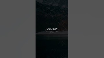 🌹لَا تَقنَطُوا مِن رَحمَةِ اللهِ🌹 سورة: الزمر🌹 القارئ: سعد ازويت🌹