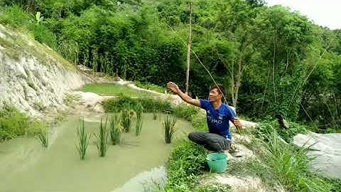 Anh Nông Dân Đi Câu Cá Và Cái Kết Quá Lỗ