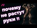 ПОЧЕМУ НЕ РАСТУТ РУКИ?!