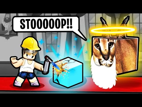 Survival Floppa Cat Cube the Raise a Floppa Killer - Roblox