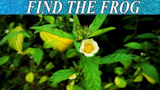 Finding Game | Find The Hidden Object | AR Entertainment | Master Mind Game | Brain Booster screenshot 5