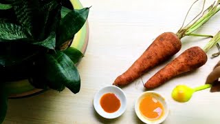 How to make lip balm treat dark and dry lips with carrot (with subtitles)