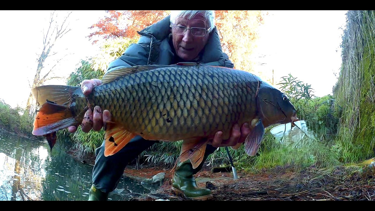 FREDDO PUNGENTE IN CERCA DI BAFFUTE.