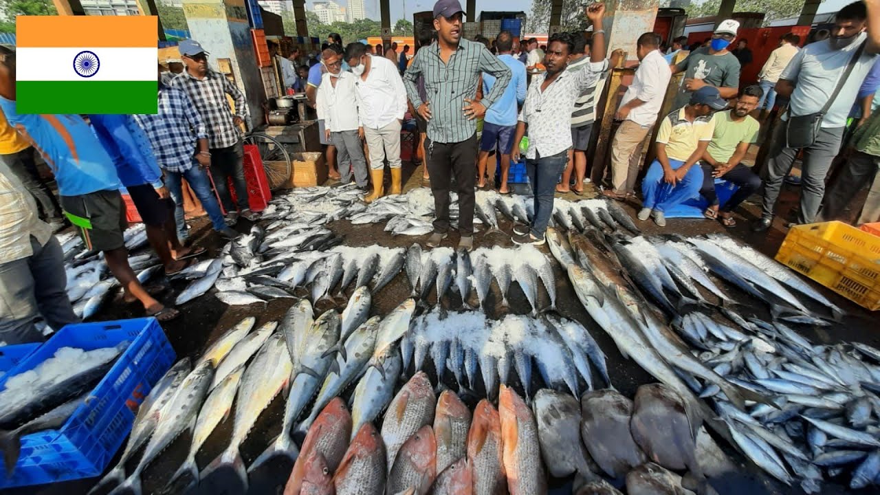 Sassoon Dock Fish Market India का सब से पुराना फिश मार्केट Mumbai Biggest Fish Market YouTube