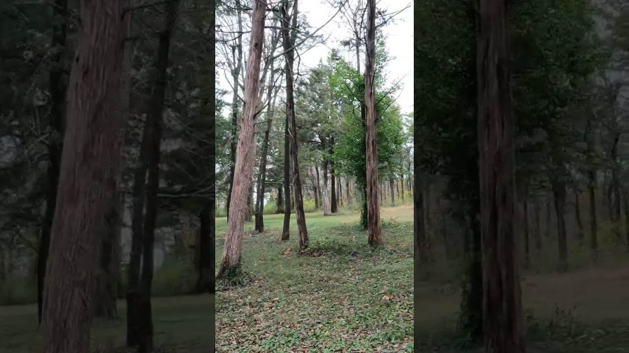 Cooper Park - Mountain Home, AR