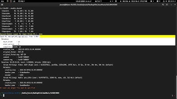 untrunc修复MOV视频演示，error：moov atom not found from ffmpeg（Linux） 2023年5月4日