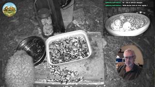 Thumbnail for Birds & Visitors video: 🔴 24/7 LIVE Hedgehog Cam & Night Wildlife 🦔 Garden Feeder & Water Station • Relaxing Music 4K