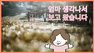 이 남자가 사는법: 엄마 생각이 날 때면 #가정의달 #어버이날 #아가페실버센터 #요양원 #이남사