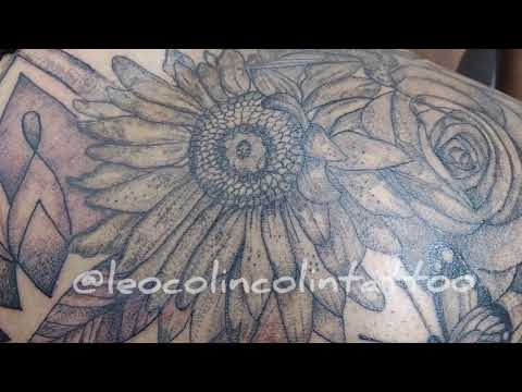 Linda Tatuagem de borboleta tattoo de mandala girassol tattoo