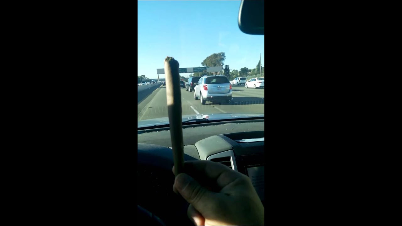 Warren Puffit got 5 on it and some change