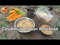 🍝 СУШЕНЫЕ ОВОЩИ в походе. Сублимация в домашних условиях