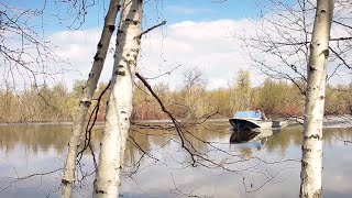 Лучший выпуск "Хозяева тайги". 2016 год.