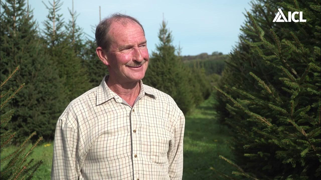 Green Minds The Christmas Tree Man YouTube