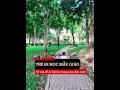 Đi học là thời điểm rất dễ bệnh 👉 Ba mẹ hãy trang bị thẻ sức khoẻ ngay nha #baohiem #baohiemsuckhoe