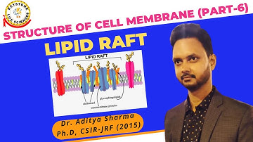 Lipid Raft #Structure of Cell Membrane (Part 6) | By Dr. Aditya Sharma, CSIR-JRF, Ph.D. #membrane