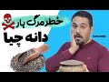 دانه چیا رو چگونه مصرف کنیم خواص و عوارض دانه چیا دانه چیا رو چگونه مصرف کنیم خواص و عوارض دانه چیا