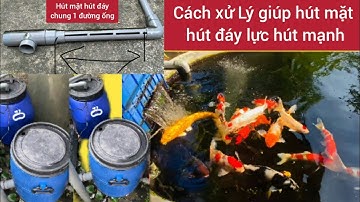 Cách Giúp Tăng Lực Hút Mặt Hút Đáy Hồ Cá Koi Khi Đi Chung 1 Đường Ống - Nhân Vlog 1989.