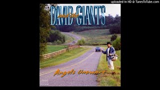 Video thumbnail of "5. No One But You (David & The Giants: Angels Unaware [1995])"