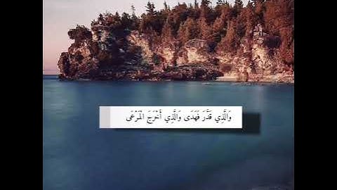 حالات واتس الشيخ هزاع البلوشي سوره الأعلي كاملة