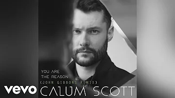 Calum Scott - You Are The Reason (John Gibbons Remix/Audio)