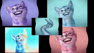 Numa Cat Effects (Compilation #3)