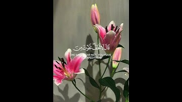 قالت إحداهما يا أبي استأجره || القارئ أحمد إبراهيم - سورة القصص - #القرآن_الكريم #احمد_ابراهيم #الله