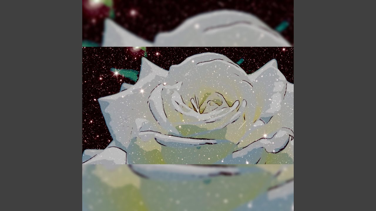 white rose