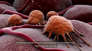 The Truth About Dandelion Root and Cancer