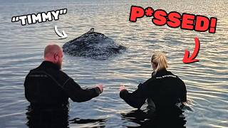 Expertin kritisiert Ostsee-Walrettung SCHARF... und das zurecht?! | Rasas Welt