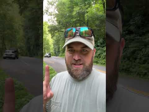 Stop picking wildflowers in the Great Smoky Mountains National Park! #smokymountains #gsmnp