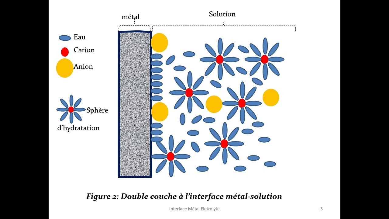 Interface métal électrolyte