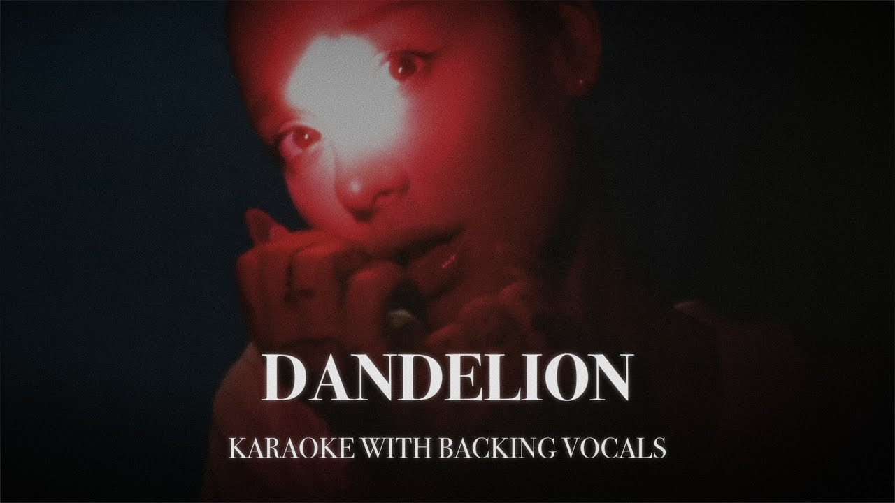 dandelion - karaoke with backing vocals Ariana Grande