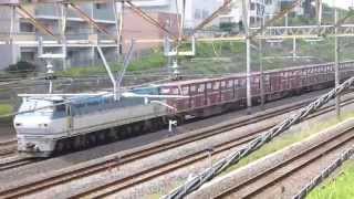 【JR貨物】EF66形100番台+貨物 東海道貨物線