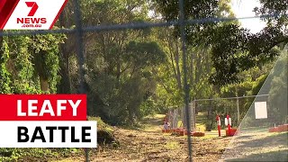 Feud over trees erupts in Kew: Why locals fear there's more at stake than historic greenery | 7NEWS