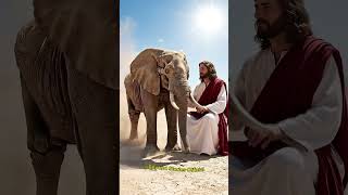 Los milagros de Dios. #dios #milagros