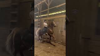 Thanks Oliver Beans For Bagging Him Up And Taking A Vid Oliviaeqq