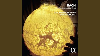 Sonata No. 3 in G Minor, BWV 1029: I. Vivace