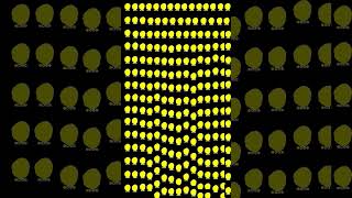 25 October 2026