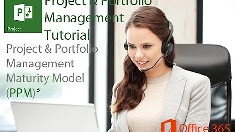 Project and Portfolio Management Maturity Model (PPM)3