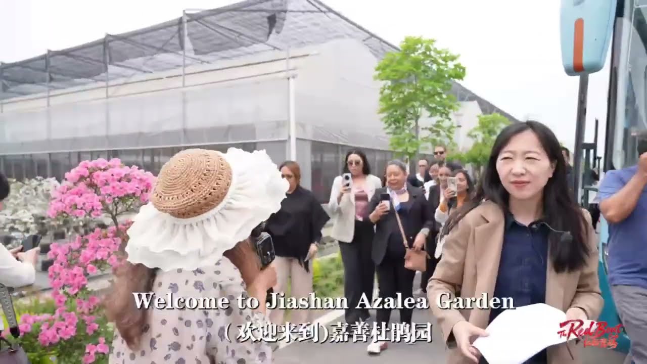 Digital Blooms: Jiaxing’s Rural Innovation in Flower Cultivation