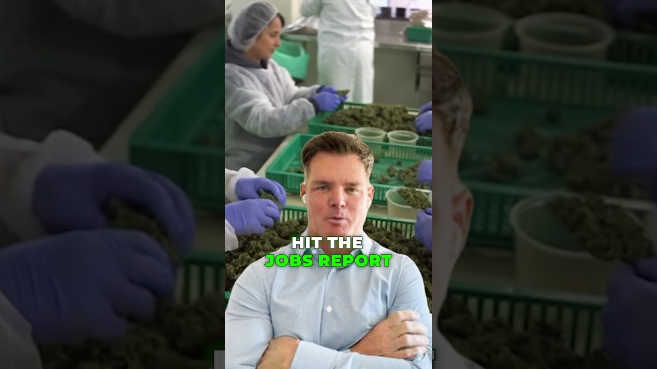 Trump & Half-Million Cannabis Jobs