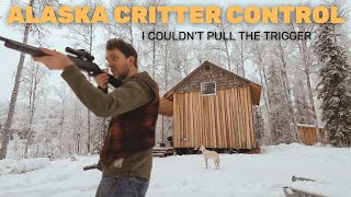 I Couldn't Pull The Trigger | Critter Proof The Cabin Roof