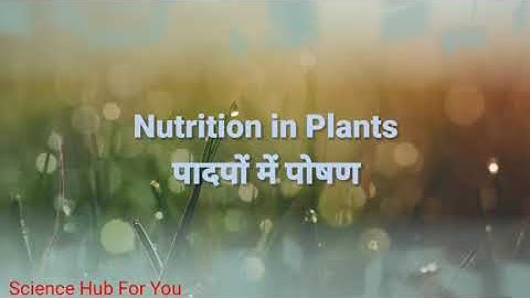 Nutrition in Plants  पादपों में पोषण। Class 7 Science Chapter 1..... Fully Explained