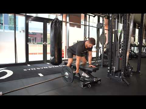 Modified Meadows Row | Elite Physique Training