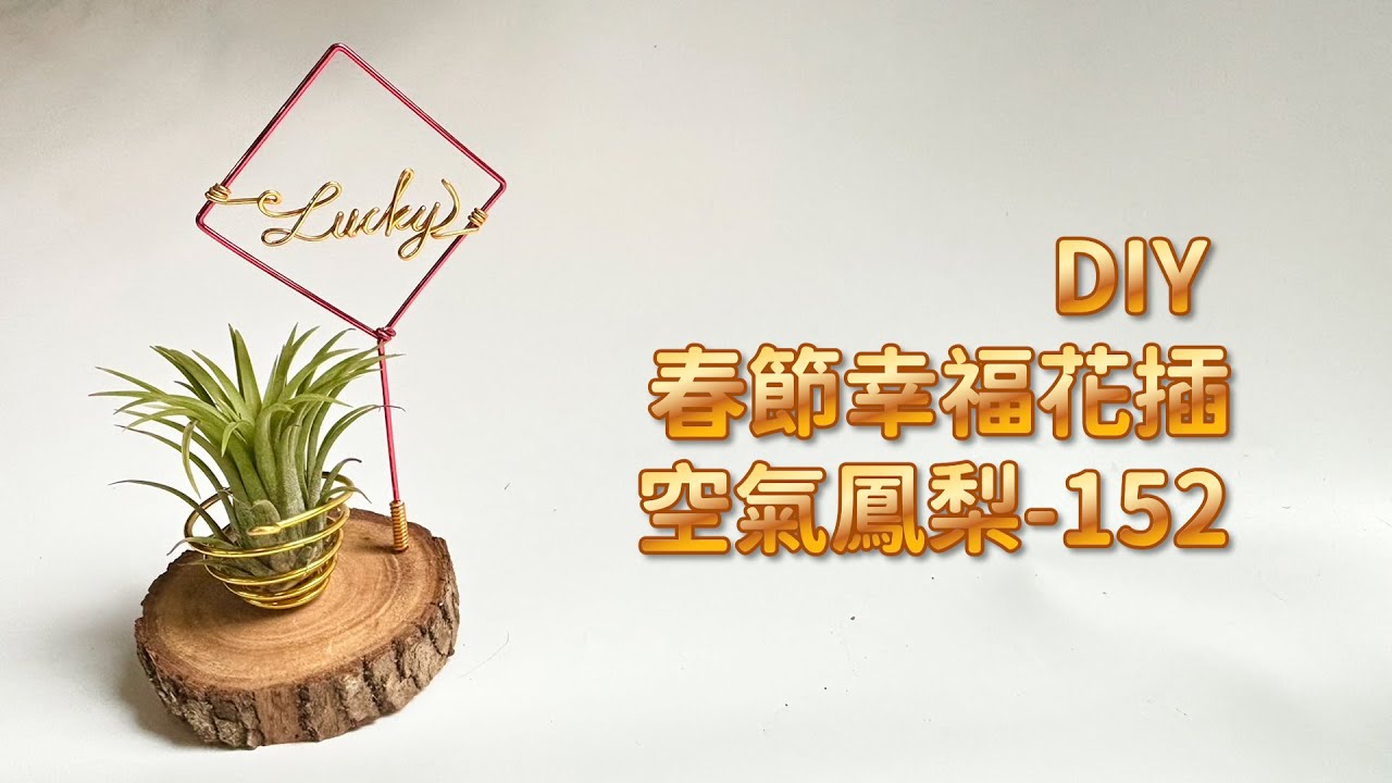 DIY wire 教你如何使用彩色鋁線製作空氣鳳梨 春節幸福花插 How to make Aluminum wire Air plant flowerstand Spring Festival