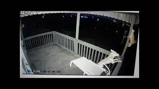 Cat narrowly escapes attack by coyote