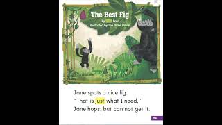 Start Right Reader The Best Fig Profile