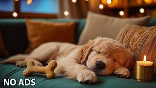 12 Hours Dog Calming Music 💖 Dog Separation Anxiety Music 🐶 Gentle Sleep Support🎵No Ads
