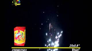 с праздником СП1204902.avi